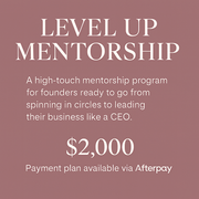 Level Up Mentorship
